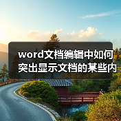 word文档编辑中如何突出显示文档的某些内容（图4）