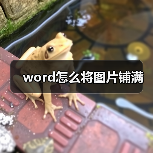 word怎么将图片铺满(图2) word怎么将图片铺满(图2)