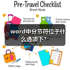 word中分节符位于什么选项下？（图1）