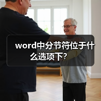 word中分节符位于什么选项下？（图2）