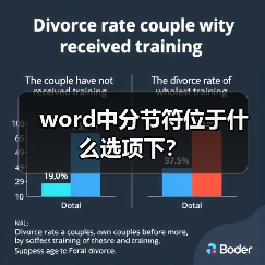 word中分节符位于什么选项下？（图4）