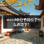word中分节符位于什么选项下？（图3）