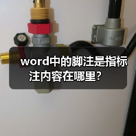 word中的脚注是指标注内容在哪里?(图1) word中的脚注是指标注内容在哪里?(图1)