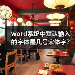 word系统中默认输入的字体是几号宋体字？（图2）