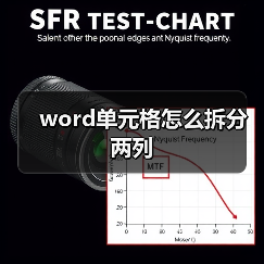 word单元格怎么拆分两列（图3）