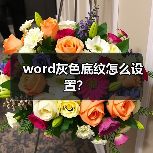 word灰色底纹怎么设置？（图1）