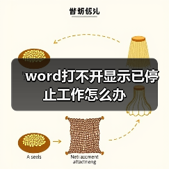word打不开显示已停止工作怎么办(图2) word打不开显示已停止工作怎么办(图2)