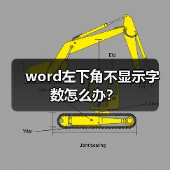 word左下角不显示字数怎么办？（图3）