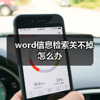 word信息检索关不掉怎么办（图3）