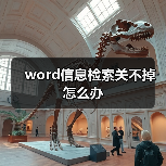 word信息检索关不掉怎么办（图4）