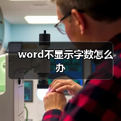 word不显示字数怎么办(图3) word不显示字数怎么办(图3)