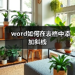 word如何在表格中添加斜线（图3）