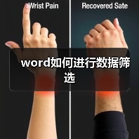 word如何进行数据筛选(图1) word如何进行数据筛选(图1)