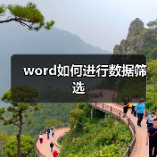 word如何进行数据筛选(图2) word如何进行数据筛选(图2)