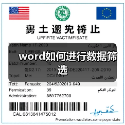 word如何进行数据筛选(图4) word如何进行数据筛选(图4)