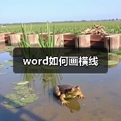 word如何画横线（图1）
