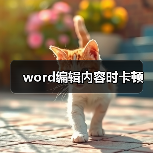 word编辑内容时卡顿(图2) word编辑内容时卡顿(图2)