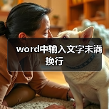 word中输入文字未满换行（图3）