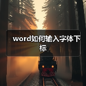 word如何输入字体下标（图1）