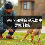 word如何在单元格中添加斜线（图4）