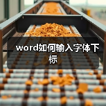 word如何输入字体下标（图4）