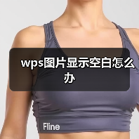 wps图片显示空白怎么办(图1) wps图片显示空白怎么办(图1)