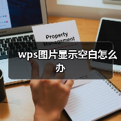 wps图片显示空白怎么办(图2) wps图片显示空白怎么办(图2)