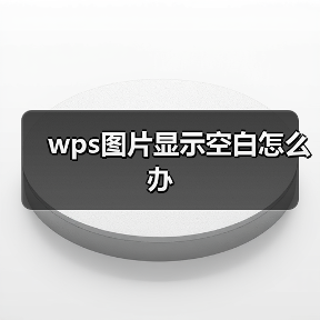wps图片显示空白怎么办(图4) wps图片显示空白怎么办(图4)