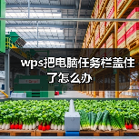 wps把电脑任务栏盖住了怎么办（图3）