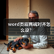 word页眉两端对齐怎么设？（图3）