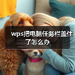 wps把电脑任务栏盖住了怎么办（图4）