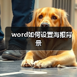 word如何设置海报背景(图2) word如何设置海报背景(图2)