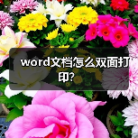 word文档怎么双面打印？（图2）