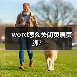 word怎么关闭页眉页脚？（图4）