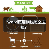 word页眉横线怎么去掉？（图4）