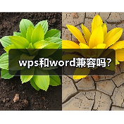 wps和word兼容吗？（图4）