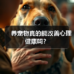 养宠物真的能改善心理健康吗?(图1) 养宠物真的能改善心理健康吗?(图1)