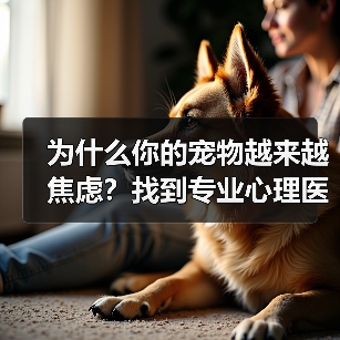 为什么你的宠物越来越焦虑?找到专业心理医生是关键(图2) 为什么你的宠物越来越焦虑?找到专业心理医生是关键(图2)