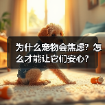 为什么宠物会焦虑?怎么才能让它们安心?(图1) 为什么宠物会焦虑?怎么才能让它们安心?(图1)