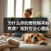 为什么你的宠物越来越焦虑?找到专业心理医生是关键(图4) 为什么你的宠物越来越焦虑?找到专业心理医生是关键(图4)