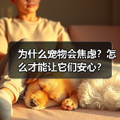为什么宠物会焦虑?怎么才能让它们安心?(图2) 为什么宠物会焦虑?怎么才能让它们安心?(图2)