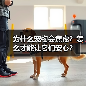 为什么宠物会焦虑?怎么才能让它们安心?(图4) 为什么宠物会焦虑?怎么才能让它们安心?(图4)