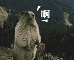 PPT模板|我也冲一下业绩：中文排版的时尚PPT免费下载咯(图1)